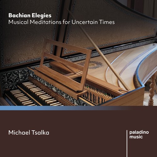 Michael Tsalka - Bachian Elegies - Musical Meditatio i gruppen CD / Klassiskt hos Bengans Skivbutik AB (5676584)