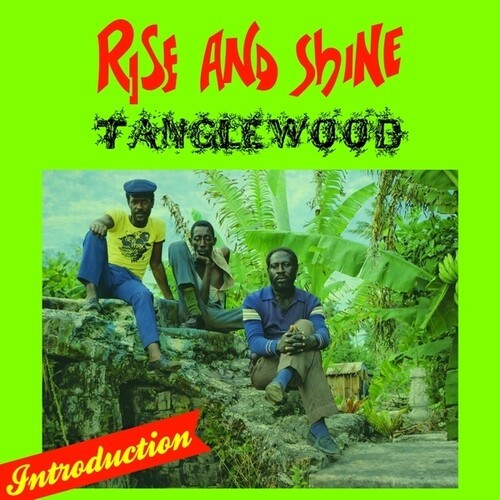Tanglewood - Rise And Shine i gruppen VINYL / Toppsäljare hos Bengans Skivbutik AB (5678047)