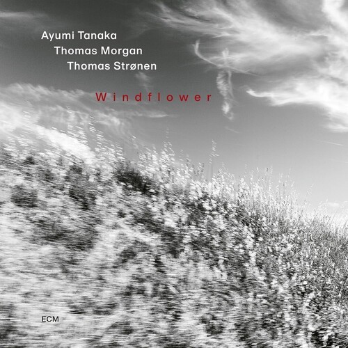 Ayumi Tanaka Thomas Morgan Thomas - Windflower i gruppen CD / Jazz hos Bengans Skivbutik AB (5678178)