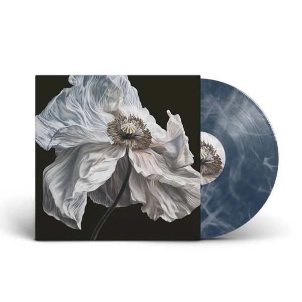 Quicksand - Bring On The Psychics i gruppen VINYL / Kommande / Pop-Rock hos Bengans Skivbutik AB (5678301)