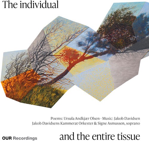 Jakob Davidsen - The Individual And The Entire Tissu i gruppen CD / Klassiskt hos Bengans Skivbutik AB (5678449)