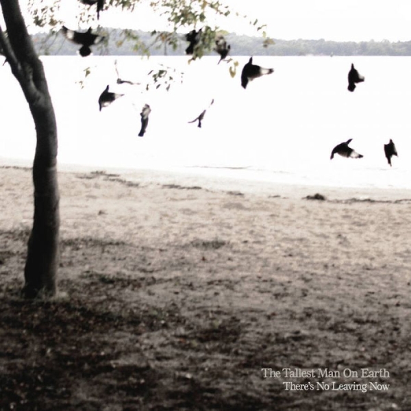 The Tallest Man On Earth - There's No Leaving Now i gruppen CD / World Music hos Bengans Skivbutik AB (5680133)