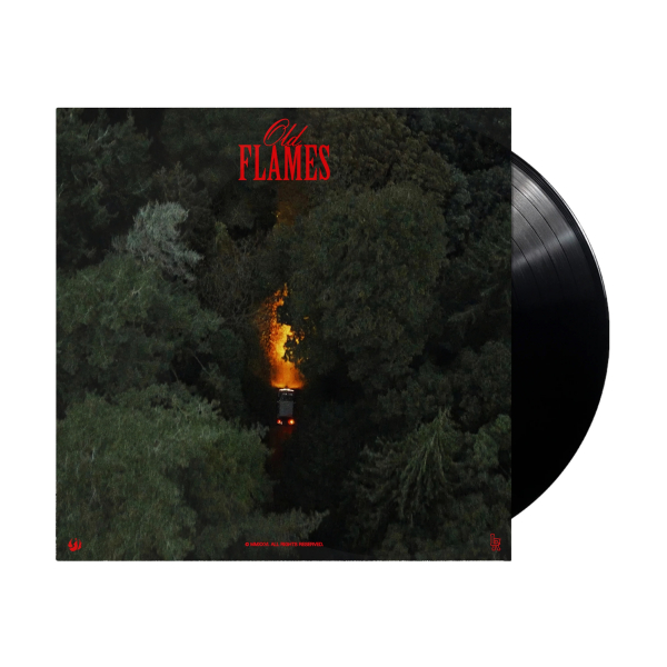 La Roux - Old Flames i gruppen VINYL / Kommande / Pop-Rock hos Bengans Skivbutik AB (5680175)