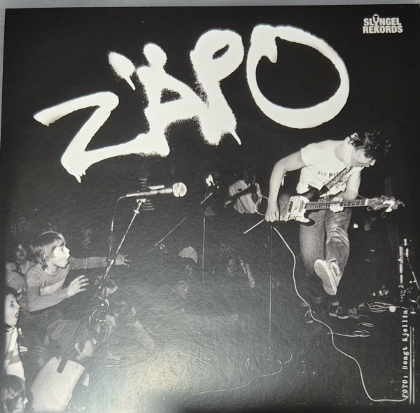 Zäpo - Genom Mitt Fönster i gruppen VINYL / Nyheter / Punk hos Bengans Skivbutik AB (5680204)