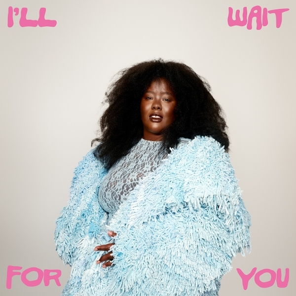 Nnavy - I'll Wait For You i gruppen VINYL / Kommande / Pop-Rock hos Bengans Skivbutik AB (5680230)
