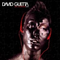DAVID GUETTA - JUST A LITTLE MORE LOVE i gruppen CD / Dance-Techno hos Bengans Skivbutik AB (568038)