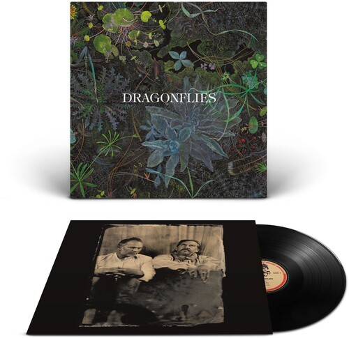 The Dragonflies - Dragonflies (Vinyl) i gruppen VINYL / Pop-Rock hos Bengans Skivbutik AB (5680805)
