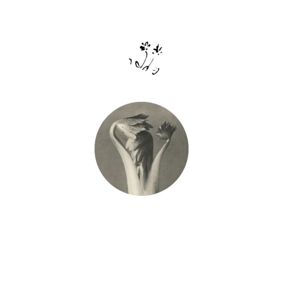 Returning Sweetness (Eversines) - Longevity Eyebrow i gruppen VINYL / Kommande / Pop-Rock hos Bengans Skivbutik AB (5681481)