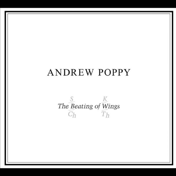 Andrew Poppy - The Beating Of Wings i gruppen CD / Kommande / Pop-Rock hos Bengans Skivbutik AB (5681499)