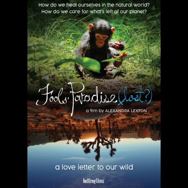 Various Artists - Fools' Paradise (Lost?) i gruppen ÖVRIGT / Musik-DVD & Bluray / Kommande hos Bengans Skivbutik AB (5681859)