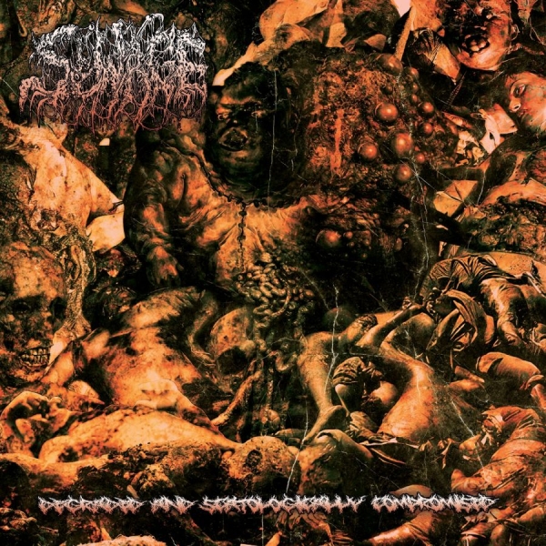 Sewage - Degraded And Scatologically Comprom i gruppen CD / Nyheter / Hårdrock hos Bengans Skivbutik AB (5681898)