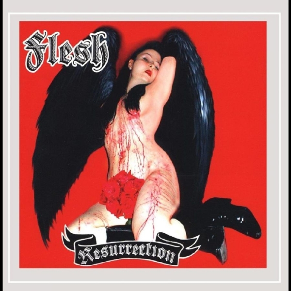 Flesh - Resurrection i gruppen CD / Nyheter / Pop-Rock hos Bengans Skivbutik AB (5682243)