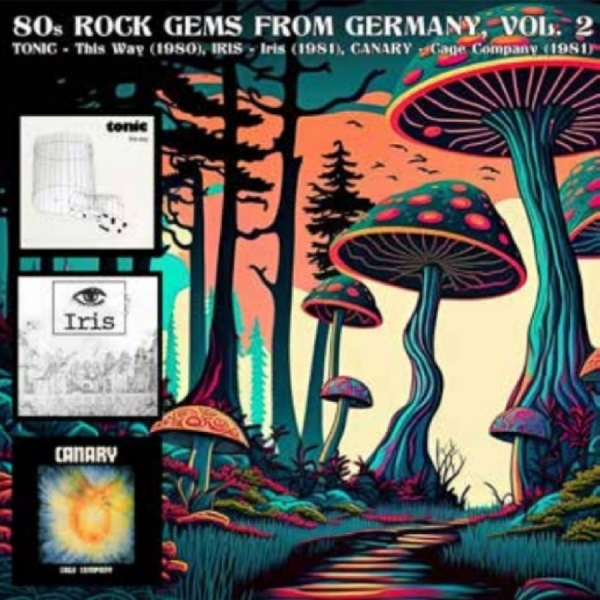 Various Artists - 80S Rock Gems From Germany Vol. 2 i gruppen VINYL / Kommande / Pop-Rock hos Bengans Skivbutik AB (5682748)