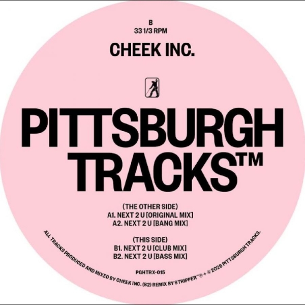 Cheek Inc. - Next 2 U i gruppen VINYL / Kommande / Pop-Rock hos Bengans Skivbutik AB (5683273)