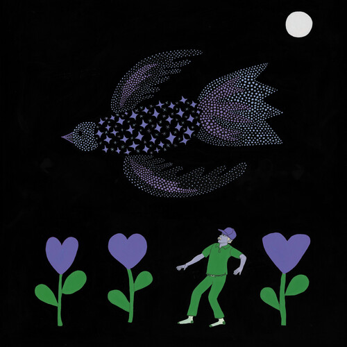 Bonnie Prince Billy - Purple Bird i gruppen VINYL / Toppsäljare hos Bengans Skivbutik AB (5683408)