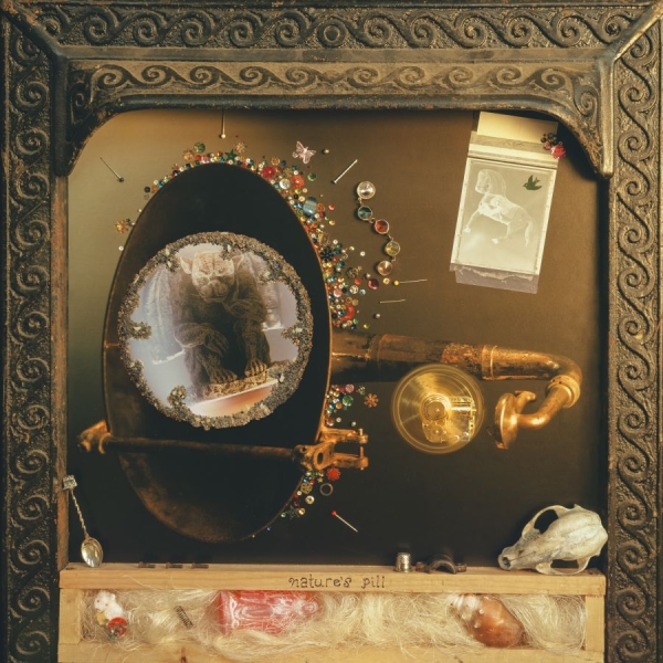 Wishy - Nature's Pill i gruppen CD / Kommande / Pop-Rock hos Bengans Skivbutik AB (5683564)