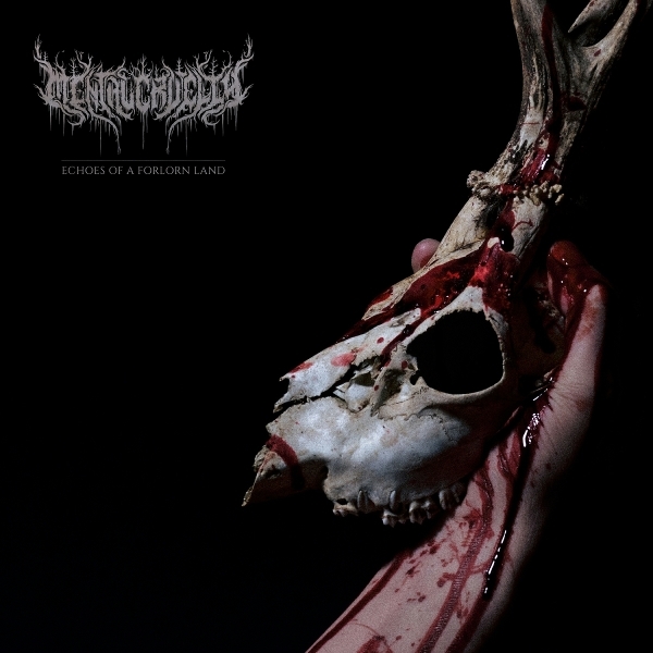 Cruelty Mental - Echoes Of A Forlorn Land i gruppen VINYL / Mest förbokade hos Bengans Skivbutik AB (5683720)