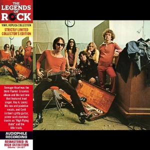 Flamin' Groovies - Teenage Head i gruppen CD / Pop-Rock hos Bengans Skivbutik AB (568565)
