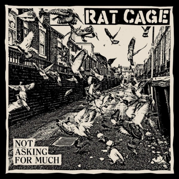 Rat Cage - Not Asking For Much i gruppen VINYL / Kommande / Pop-Rock hos Bengans Skivbutik AB (5685851)