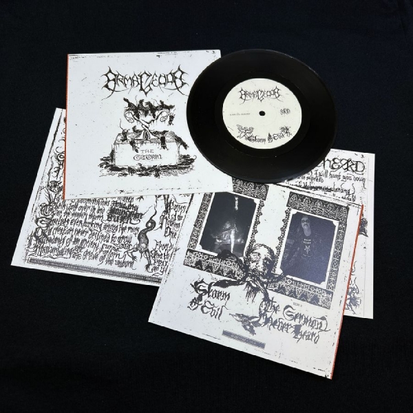 Armagedda - The Storm i gruppen VINYL / Nyheter / Hårdrock hos Bengans Skivbutik AB (5685980)