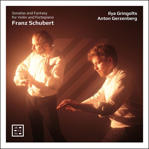 Franz Schubert - Sonatas And Fantasy For Violin And i gruppen CD / Klassiskt hos Bengans Skivbutik AB (5686348)