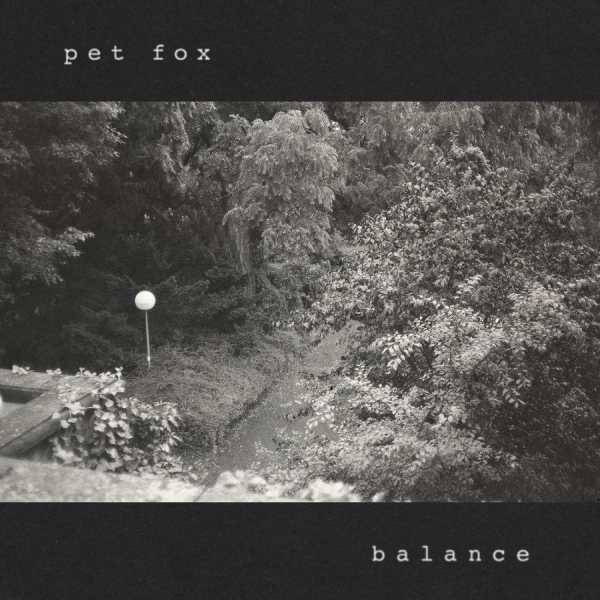 Pet Fox - Balance (Cobweb Colored Vinyl) i gruppen VINYL / Kommande / Pop-Rock hos Bengans Skivbutik AB (5686830)