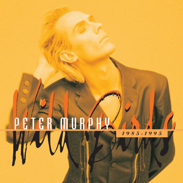 Peter Murphy - Wild Birds 1984-1995 i gruppen CD / Toppsäljare hos Bengans Skivbutik AB (5687121)