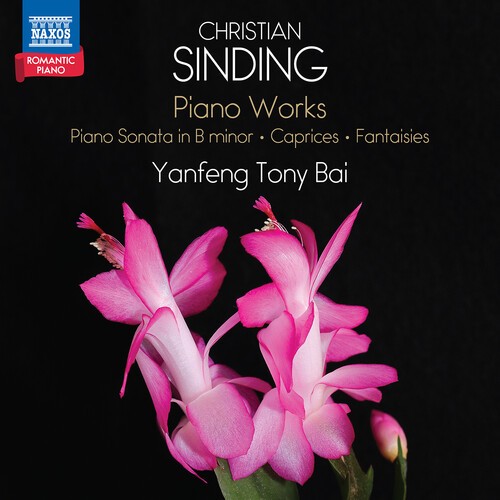 Christian Sinding - Piano Works i gruppen CD / Klassiskt hos Bengans Skivbutik AB (5687286)