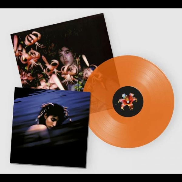Hurt Shirley - Hurt, Shirley i gruppen VINYL / Toppsäljare hos Bengans Skivbutik AB (5687829)