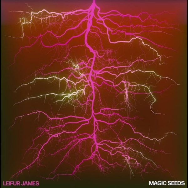 Leifur James - Magic Seeds i gruppen VINYL / Toppsäljare hos Bengans Skivbutik AB (5688183)