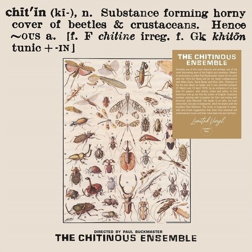 The Chitinous Ensemble - Chitinous i gruppen VINYL / Jazz hos Bengans Skivbutik AB (5688608)