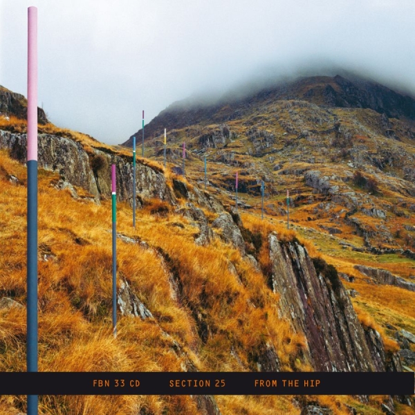 Section 25 - From The Hip i gruppen CD / Toppsäljare hos Bengans Skivbutik AB (5688676)