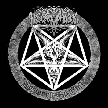 Necrophobic - Spawned By Evil (Pic Disc) i gruppen VINYL / Toppsäljare hos Bengans Skivbutik AB (5689197)