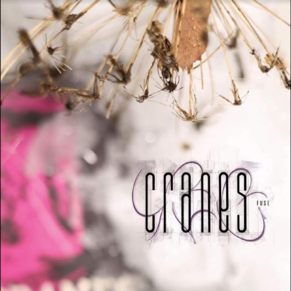 Cranes - Fuse i gruppen CD / Toppsäljare hos Bengans Skivbutik AB (5689502)