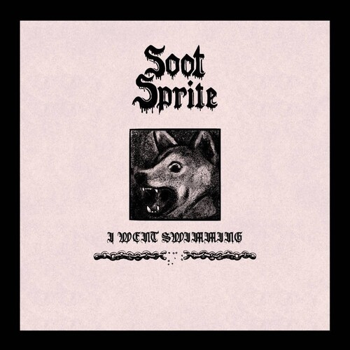 Soot Sprite - I Went Swimming / Home Among Your B i gruppen VINYL / Pop-Rock hos Bengans Skivbutik AB (5689517)