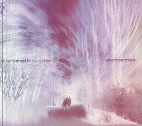 Labyrinthine Oceans - For The Flesh And For The Machine i gruppen CD / Pop-Rock hos Bengans Skivbutik AB (5689829)