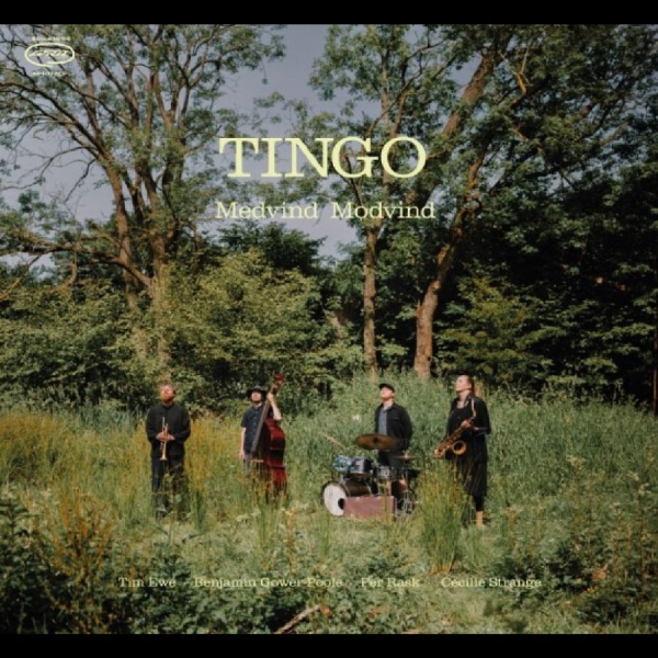 Tingo - Medvind Modvind i gruppen VINYL / Kommande / Jazz hos Bengans Skivbutik AB (5689941)