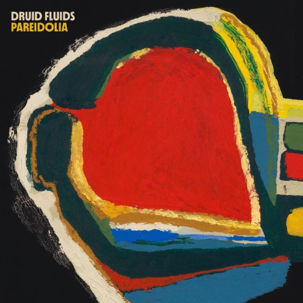 Druid Fluids - Pareidolia i gruppen CD / Kommande / Pop-Rock hos Bengans Skivbutik AB (5690449)