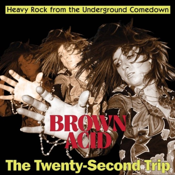 Various Artists - Brown Acid - The Twenty-Second Trip i gruppen VINYL / Toppsäljare hos Bengans Skivbutik AB (5690539)