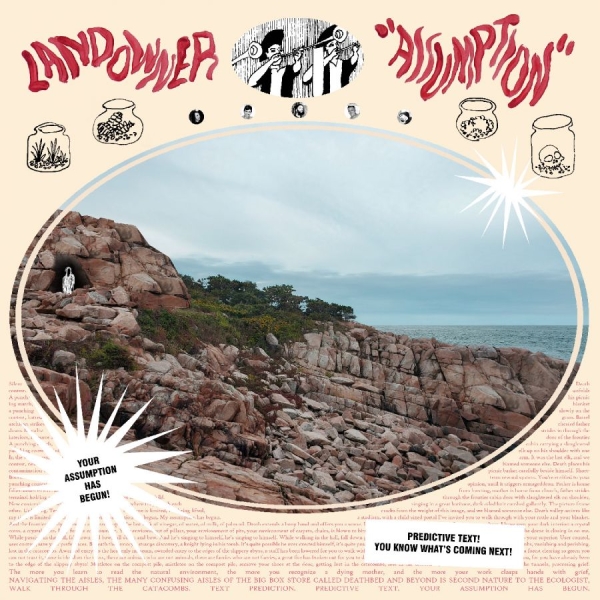 Landowner - Assumption (Electric Smoke Vinyl) i gruppen VINYL / Kommande / Pop-Rock hos Bengans Skivbutik AB (5690594)