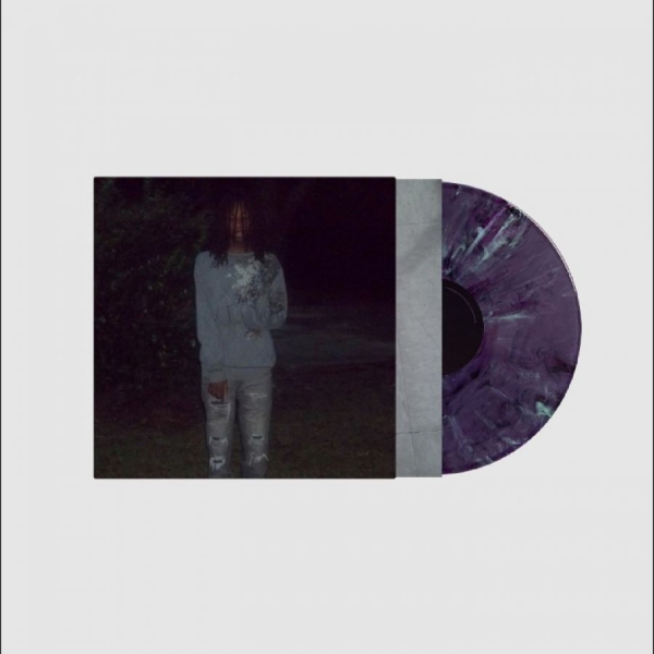 Zayok - In Elsewhere i gruppen VINYL / Kommande / Pop-Rock hos Bengans Skivbutik AB (5691267)