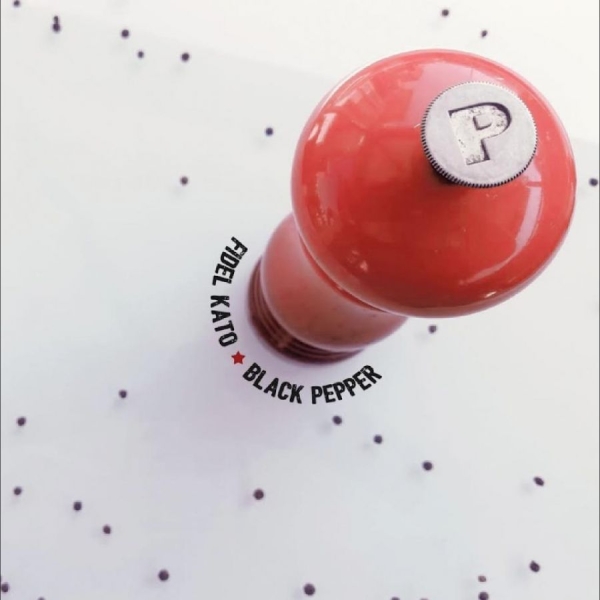 Fidel Kato - Black Pepper i gruppen VINYL / Nyheter / Pop-Rock hos Bengans Skivbutik AB (5692108)