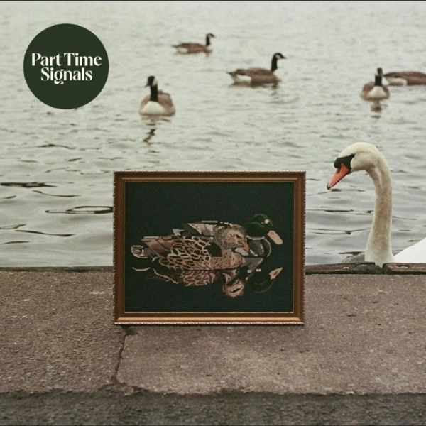 Part Time Signals - Ducks Back, Baby i gruppen CD / Kommande / Pop-Rock hos Bengans Skivbutik AB (5692160)