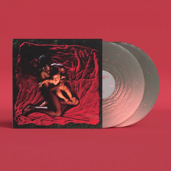 Afghan Whigs - Congregation (Anniversary Edition P i gruppen VINYL / Kommande / Pop-Rock hos Bengans Skivbutik AB (5692372)