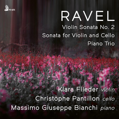 Maurice Ravel - Violin Sonata No. 2 In G Major Son i gruppen CD / Toppsäljare hos Bengans Skivbutik AB (5693098)