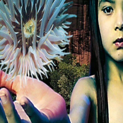 The Future Sound Of London - Lifeforms i gruppen VINYL / Toppsäljare hos Bengans Skivbutik AB (5693618)