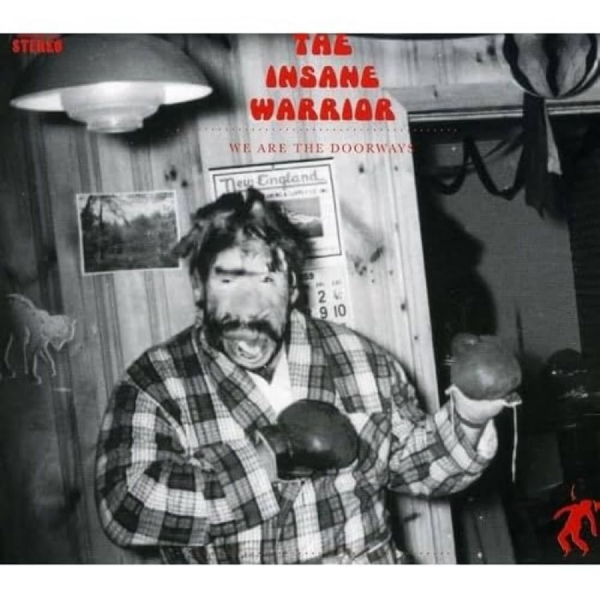 The Insane Warrior (Rjd2) - We Are The Doorways i gruppen CD / Toppsäljare hos Bengans Skivbutik AB (5693772)