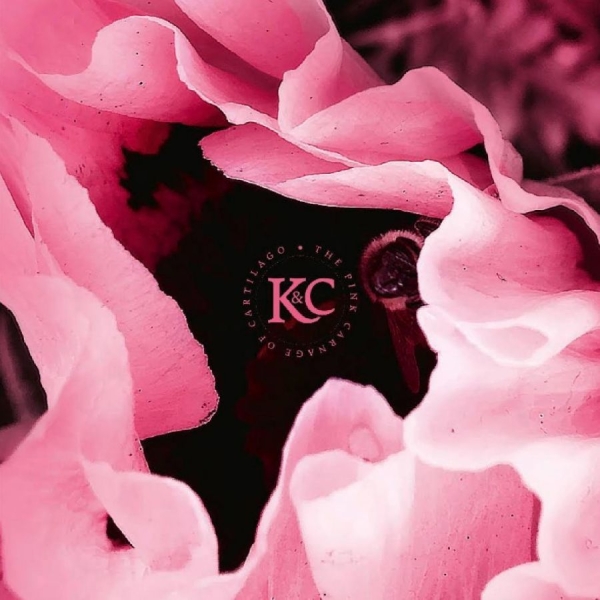 Kolman & Calvert - The Pink Carnage Of Cartilago i gruppen CD / Pop-Rock hos Bengans Skivbutik AB (5694184)