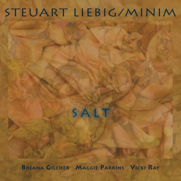 Steuart Liebig/Minim - Salt i gruppen CD / Kommande / Jazz hos Bengans Skivbutik AB (5695074)