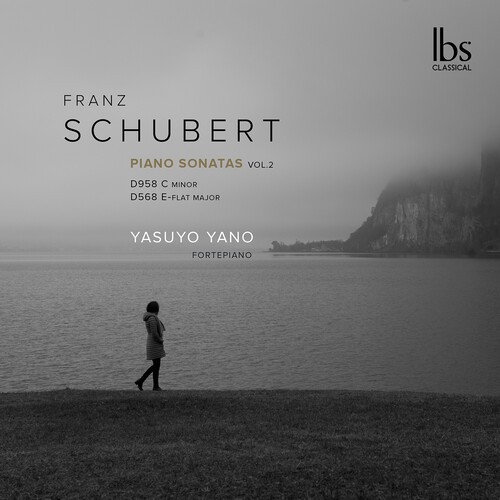 Franz Schubert - Fortepiano Sonatas i gruppen CD / Klassiskt hos Bengans Skivbutik AB (5695585)